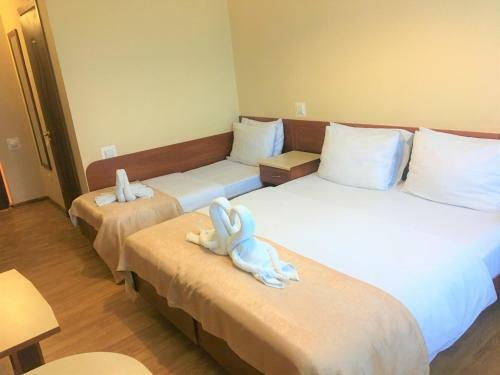 Hotel Edelveys