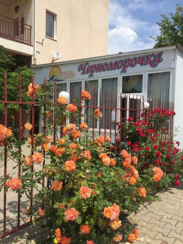 Hostal Chernomorochka Hotel