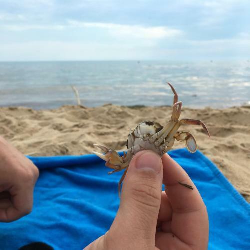 Hostal Taun-khaus U Moria