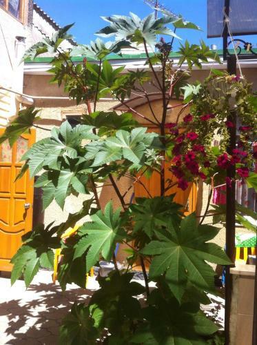 Hostal Guest House Vysoky Bereg