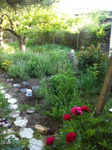 Hostal Guest House Vysoky Bereg