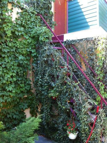 Hostal Guest House Vysoky Bereg