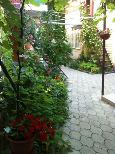 Hostal Guest House Vysoky Bereg