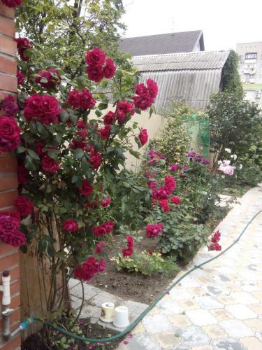 Hostal Jasmine
