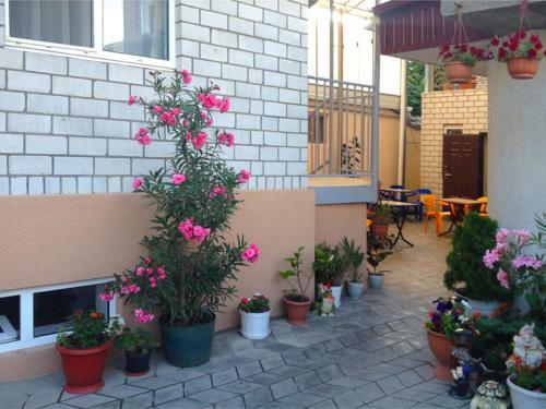 Hostal Guest House Kristina