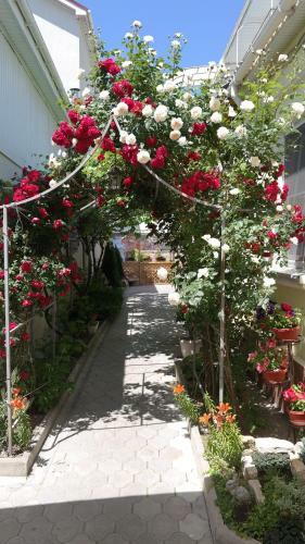 Hostal Tvoy Dom