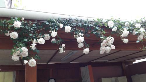 Hostal Guest House Vinograd