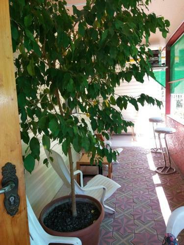 Hostal Guest House Ekaterina