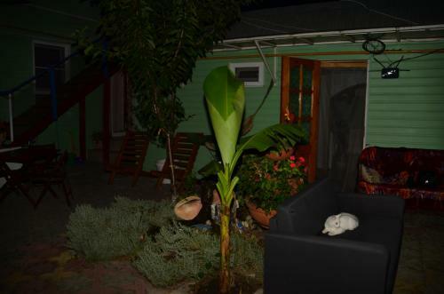 Hostal Guest House Ekaterina