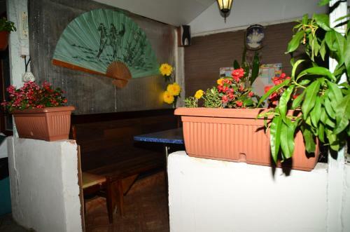 Hostal Guest House Ekaterina