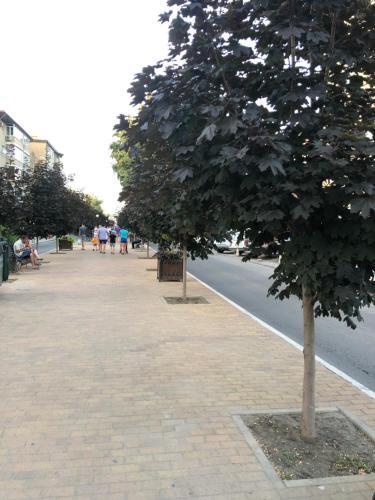 Apartments On Terskaia 108