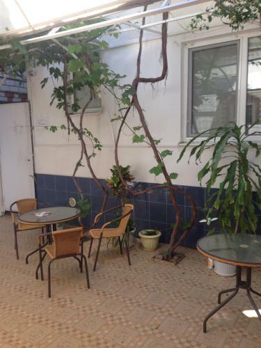 Hostal Guesthouse On Terskaya