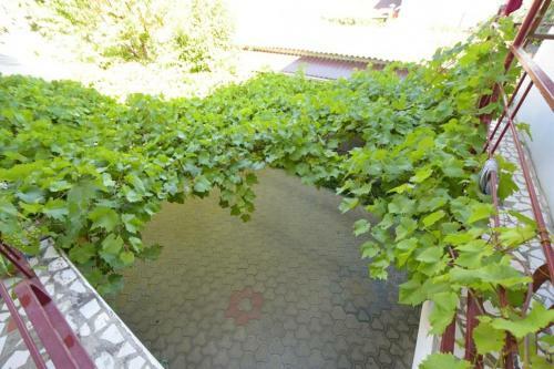 Hostal Guest House Lilia
