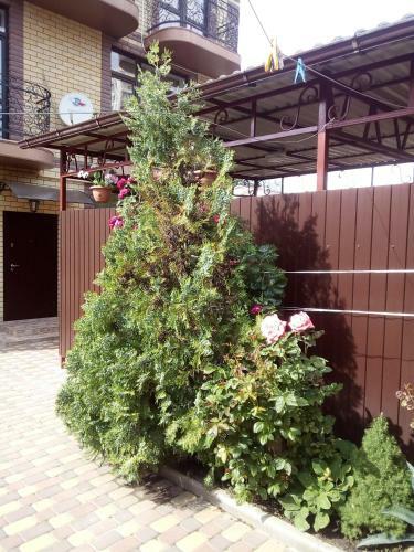 Hostal Guest House On Krymskaya