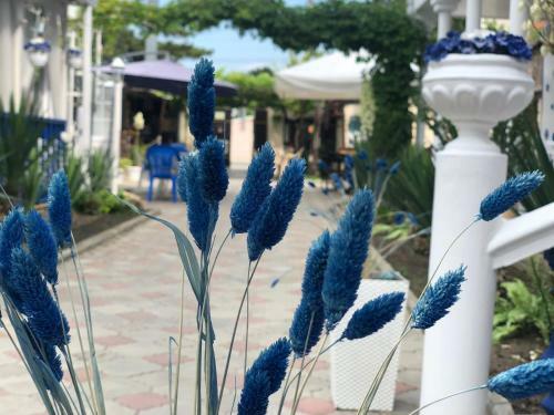 Hostal Guest House Villa Mari