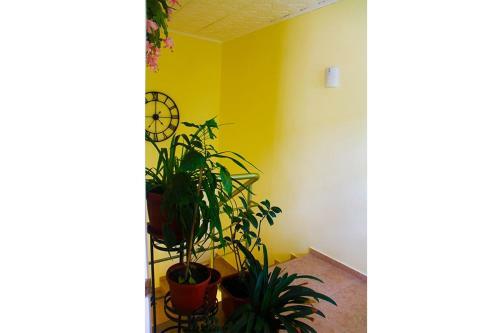 Hostal Guest House Rapsodia