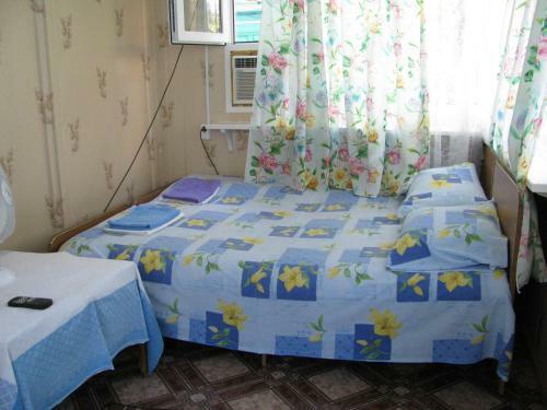 Hostal Guesthouse U Borisovny