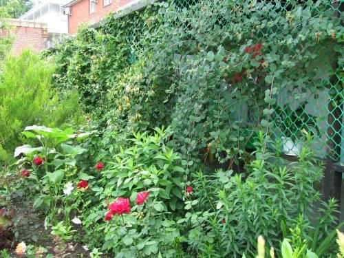 Hostal Guesthouse U Borisovny