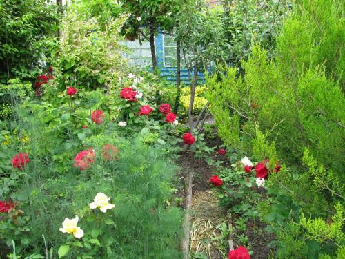 Hostal Guesthouse U Borisovny