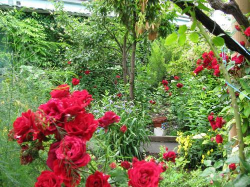 Hostal Guesthouse U Borisovny
