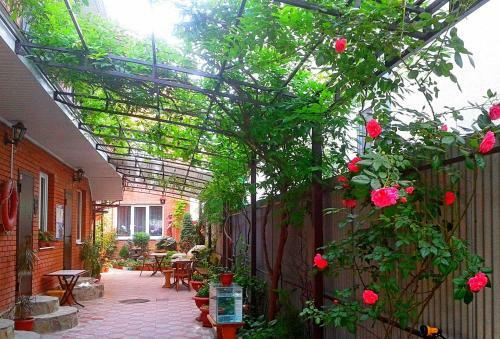 Hostal Katerina Guest House