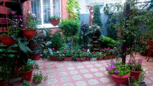 Hostal Katerina Guest House