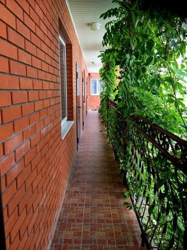 Hostal Katerina Guest House