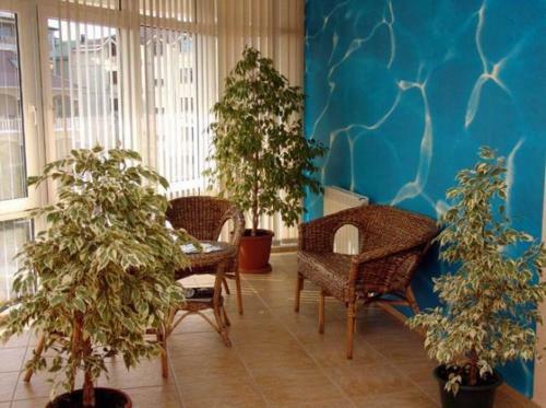 Hostal Olimp Hotel