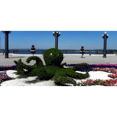 Hostal Guest House Anapa City