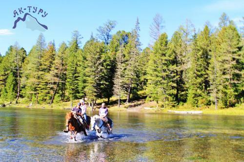 Holiday Park Ak-turu