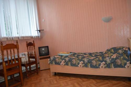Posada Dinamo Bryansk
