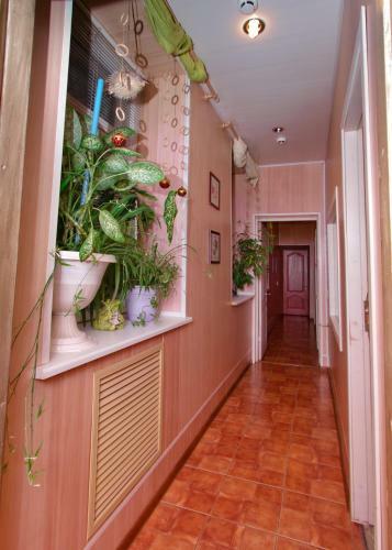 Bed & Breakfast Hotel Discovery