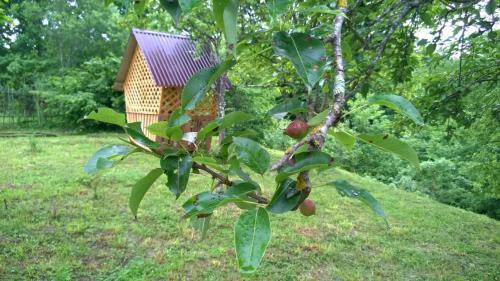 Hostal Guest House Kalinka