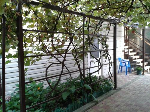 Hostal Guest House On Festivalnaya