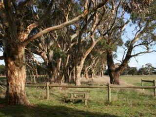 Hotel Quamby Homestead