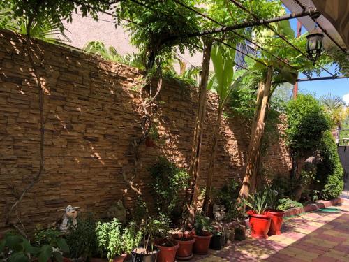 Hostal Juliet Guest House