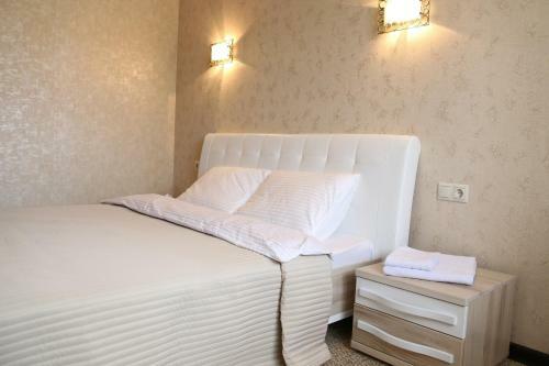 Vokrug Sveta Dubna Hotel