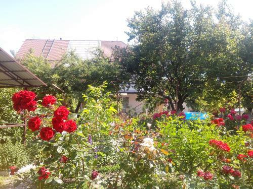 Posada Seavilliya Park Hotel