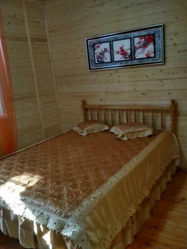 Hostal Guest House U Petrovicha