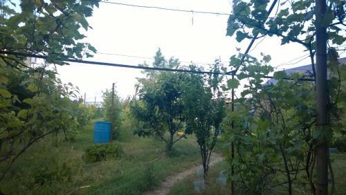 Hostal Guest House On Chapayeva 7b