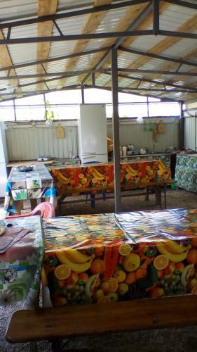 Hostal Guest House On Chapayeva 7b