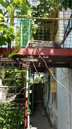 Hostal Guest House On Kalinina 101