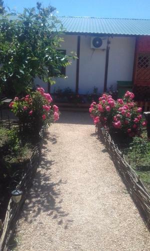 Hostal Guest House On Kalinina 336