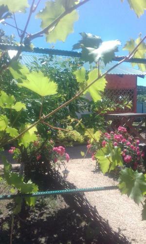 Hostal Guest House On Kalinina 336