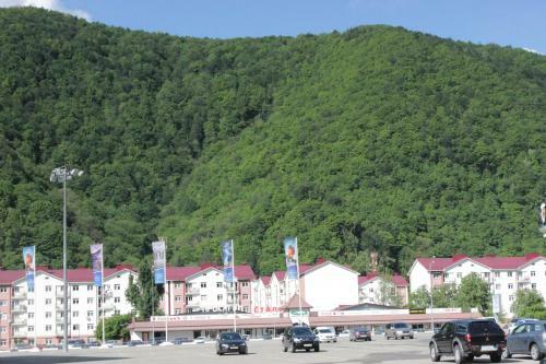 Apartment Laura Roza Gazprom