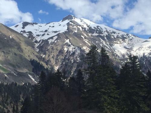 Apartamento 36 Smart Studio Monterosa