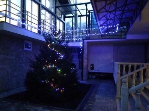 Hostal Margarita Guest House