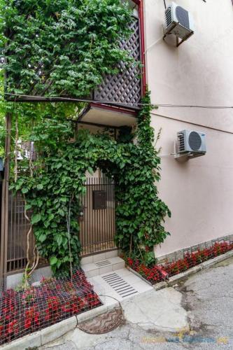 Hostal Guesthouse Sadovaya 33