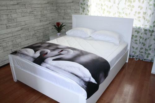 Hostal Hotel Olina
