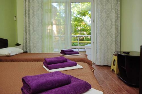 Hotel Aleksandros